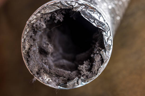 Best Local Air Duct Cleaning Services  in Terrebonne, OR